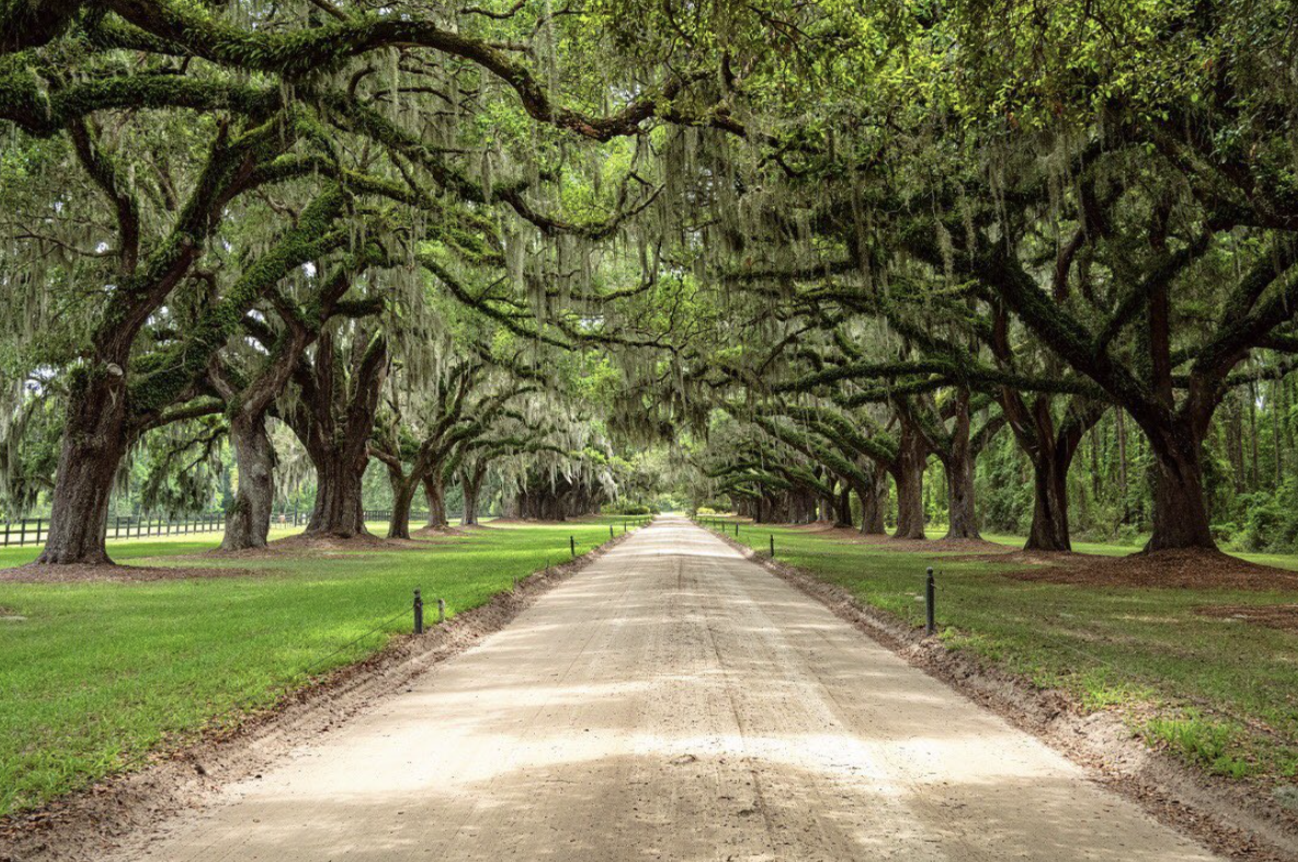 14 movies filmed in and around Charleston, SC - Vimarsana News